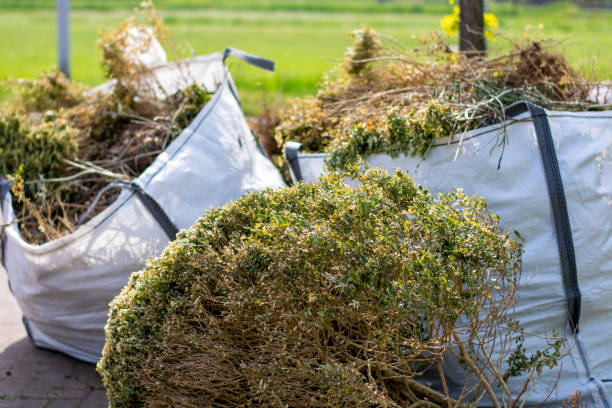 Same-Day Junk Removal Services in Norris City, IL